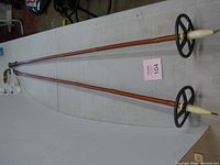 Full length view of both ski poles