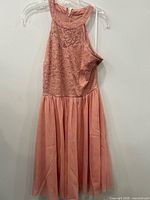 Front view of blush pink sleeveless lace bodice dress with pleated skirt on hanger