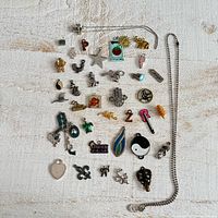 Overall view of entire assortment laid out with chain