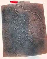 Front view of resin plaque showing full Archaeopteryx relief with marker for scale