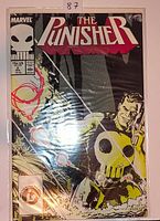 Front cover of The Punisher #2 comic book in plastic sleeve