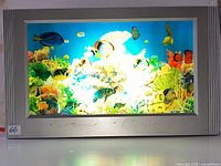 Front view of illuminated aquarium motion lamp in silver frame