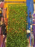 Curtain hanging display showing green leaves and red chillies