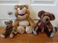 Front view of all three bears together