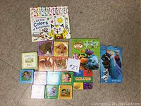 Top view of assorted children's board books laid out on a carpet, including animal-themed, Dora the Explorer, Frozen, and dinosaur-themed books in bright colors.