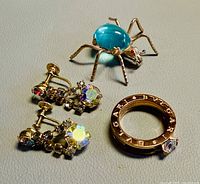 Overview of ring, spider brooch and earrings