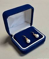 Earrings in blue velvet presentation box