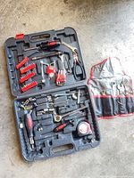 Case open showing assorted tools in molded trays and separate red tool roll