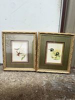 Both framed hummingbird prints side by side