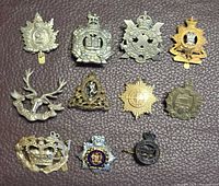 All eleven cap badges overview