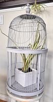 Full view of grey birdcage with plant inside