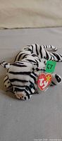 Full view of Blizzard white tiger Beanie Baby
