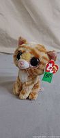 Front view of Ty Beanie Boo Tabitha plush showing hang tag and eyes