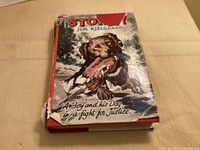 Front cover of Stormy hardcover showing title, author, illustration, visible jacket wear