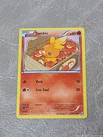 Front of Torchic reverse holo card