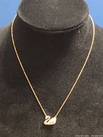 Full view of necklace on display bust showing chain length and pendant