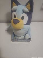 Front view of Bluey plush seated in original box