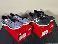 Both pairs of shoes on their boxes