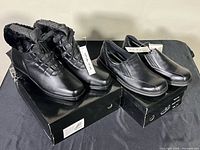 Both pairs of shoes on their boxes