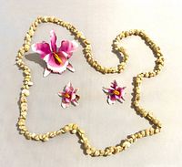 brooch, earrings and shell necklace laid out