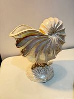 Front view of nautilus shell vase showing iridescent glaze and base