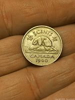 Reverse of 1940 Canadian 5 cent coin showing beaver design and year