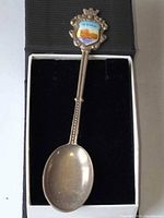 Full view of silver-tone souvenir spoon in presentation box, showing enamel crest and overall length