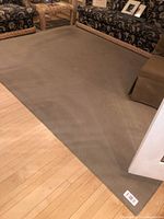 Full view of rectangular beige-taupe rug on hardwood floor