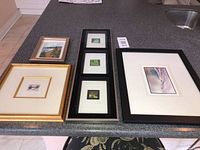 Overview of all five framed prints laid out on countertop
