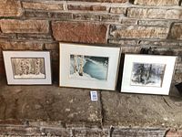 Overview of three framed watercolour paintings on stone ledge