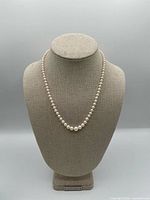 Full view of graduated pearl necklace on display bust