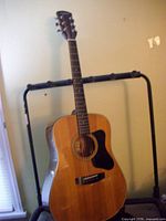 Full front view of guitar on stand