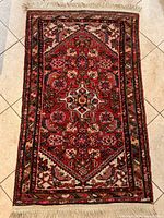 Full view of rug showing pattern and fringe