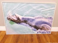 Full view of framed sea lion photograph leaning against wall