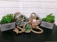 group shot of all terrariums and planters