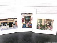 Front view of all three matted signed art prints showing imagery and mats