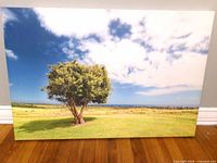 Front view of canvas showing image and overall condition