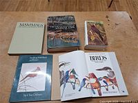 All five books laid out on table