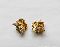 Front view of both earrings showing coiled snake design, rhinestone eyes and tails