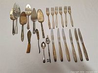 All 21 cutlery pieces laid out for overview