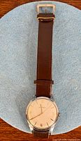 Full view of wristwatch on strap showing dial and case