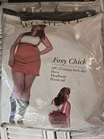 Front of packaged Leg Avenue Foxy Chick costume showing model wearing dress, ears, tail