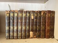 All twelve volumes on shelf showing spine decoration and wear