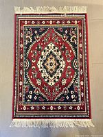 Full view of rug showing pattern and fringe
