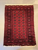 Full view of rug showing entire pattern and fringe