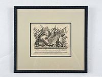 Framed engraving front view showing full frame and matting