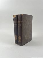 Front view of both volumes showing spine titles and cloth condition