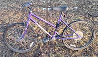 Right side profile of purple Free Spirit mountain bike on grass