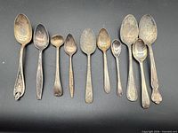 All ten assorted spoons laid out side by side