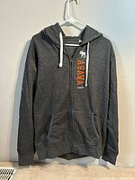 Front view showing entire hoodie, zipper, drawstrings, pockets